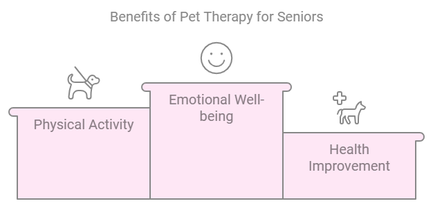 The benefits of pet therapy in senior care